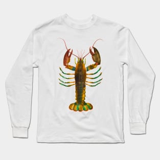 Colorful lobster shrimp in vintage illustration Long Sleeve T-Shirt